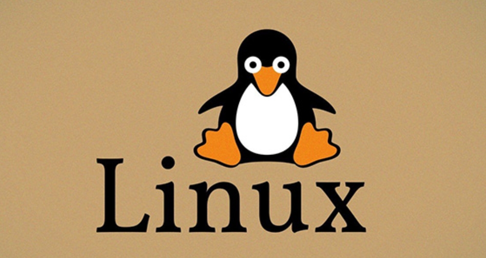 Linux面试题